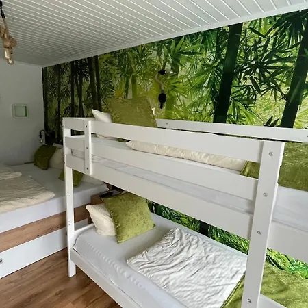 Paidion 3* Браунлаге