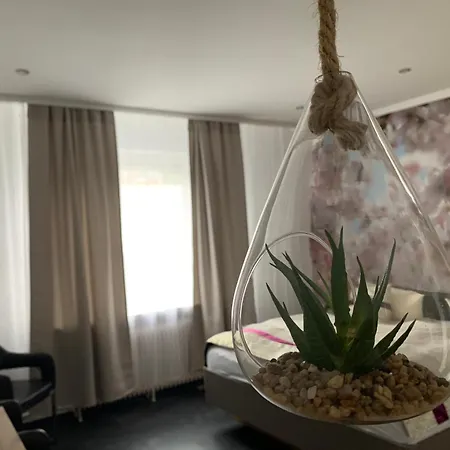 Paidion برونلاغ