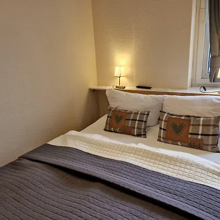 Paidion 3* Браунлаге