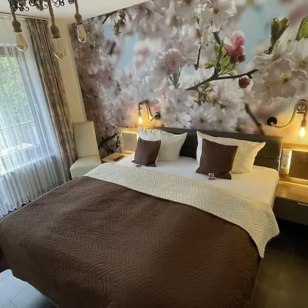 Paidion Hotel 3*
